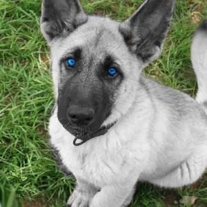 Meet your Posher, Mary